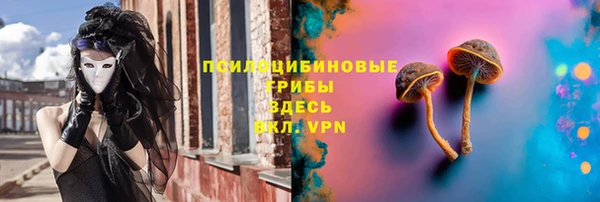 Альфа ПВП Бородино