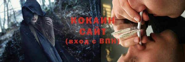 Альфа ПВП Бородино