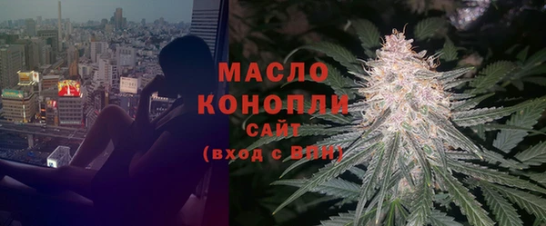 Альфа ПВП Бородино