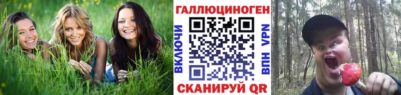 что такое   Сургут  Псилоцибиновые грибы Psilocybine cubensis 