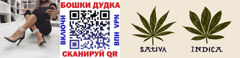 Марихуана семена  Сургут 